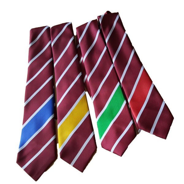 Dyson Perrins Academy House Tie Thumbnail
